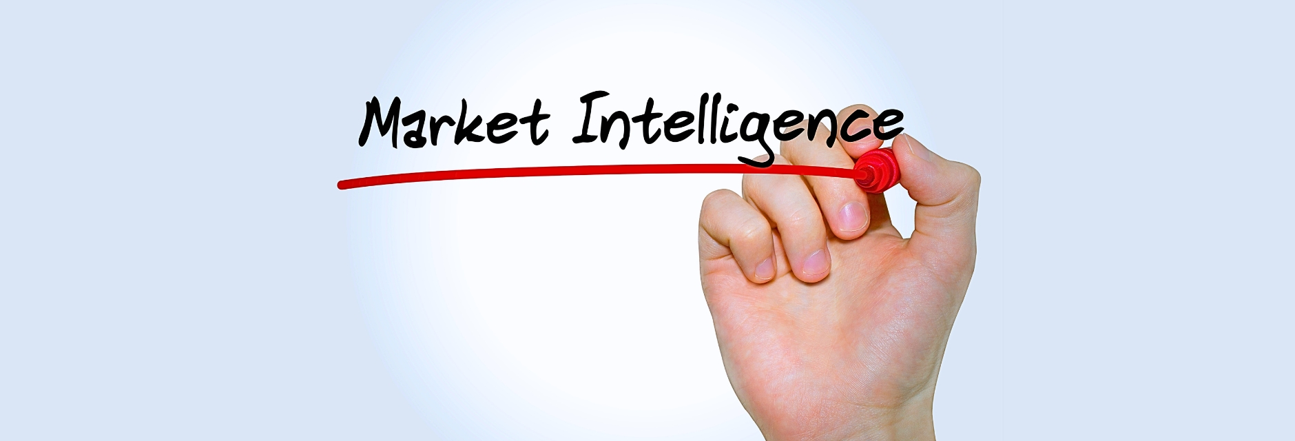 Harnessing the Power of Market Intelligence: How It Empowers Businesses to Succeed